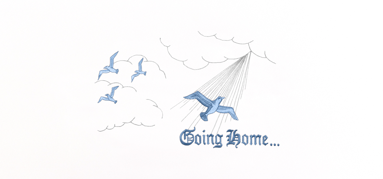 Going Home Blue White Faux